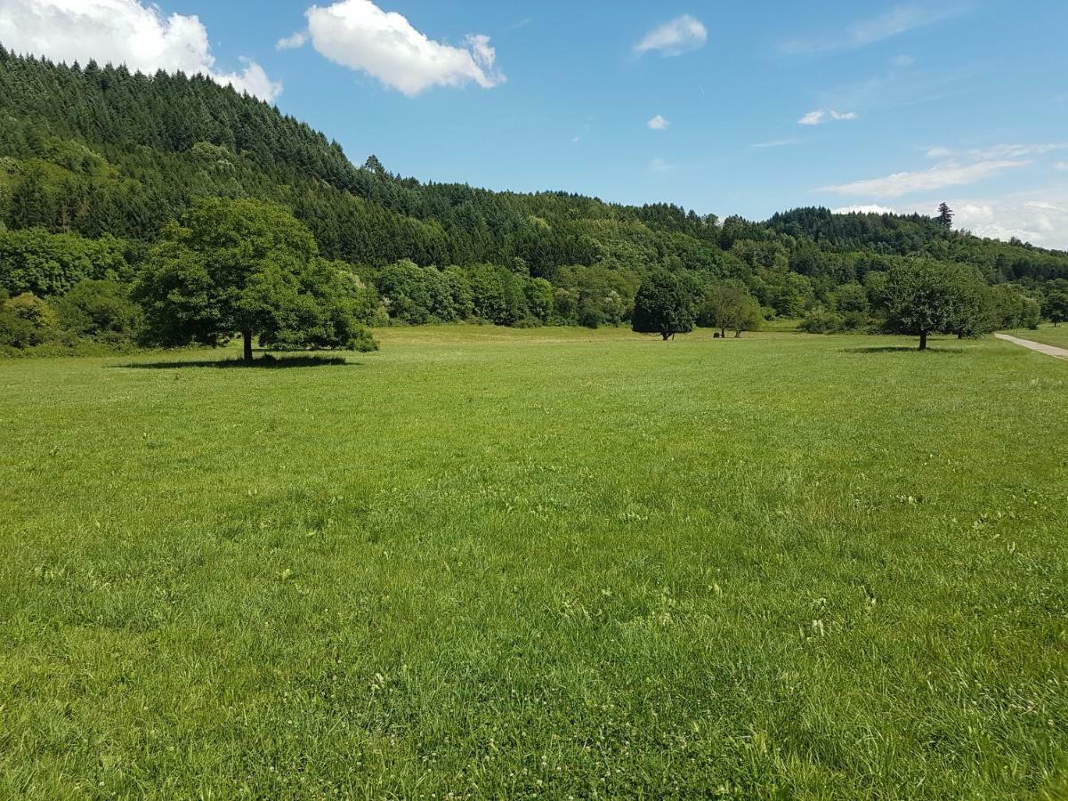 Privatzimmer Sonne Bad Säckingen Exterior foto